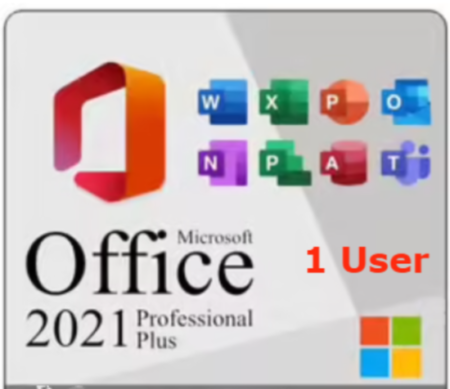 Office 2021 pro plus 1 User