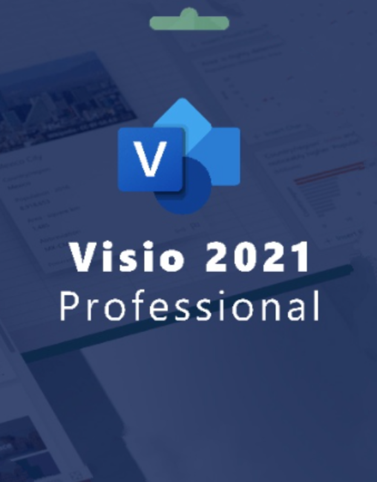 Visio Professional 2021 License Key